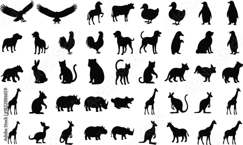Collection of black animal silhouettes on white background eagle hawk 1
