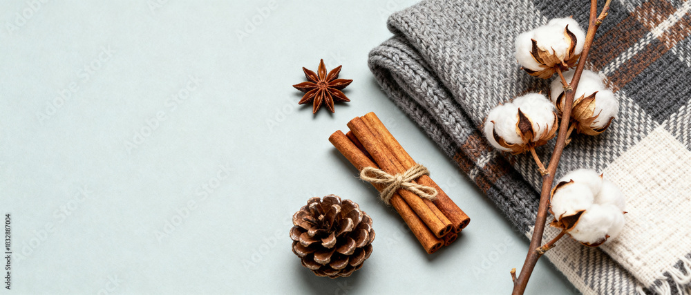 Fototapeta premium Soft woolen plaid, cotton branches, cinnamon sticks, pine cone and anise on a light background for cozy winter or autumn arrangement
