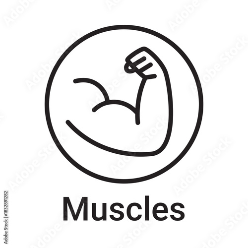 Muscles icon. Vector line symbol for a website, product card, presentation and mobile app, packaging or instruction. Editable outline sign