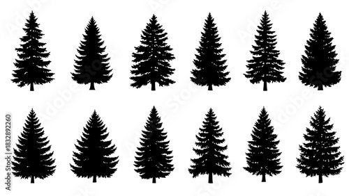 Silhouette collection of various evergreen fir trees, perfect for design and decoration.