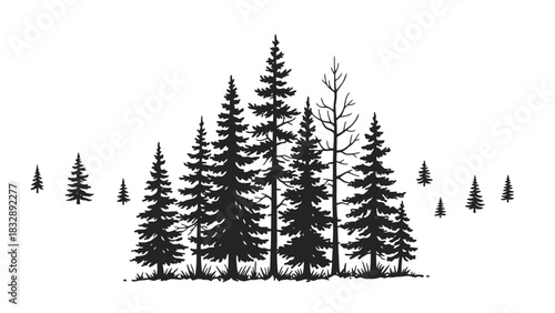 Stylized black and white illustration of a dense forest of pine trees with varying heights, depicting a natural landscape.