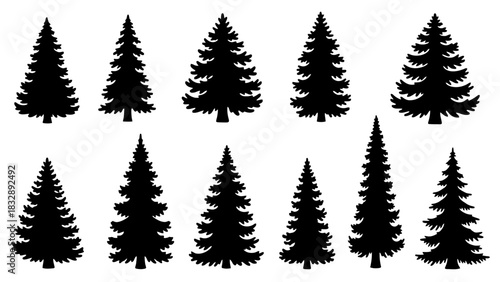 Collection of black silhouette evergreen trees, including fir and pine shapes, isolated on a white background, showcasing various natural forest tree designs.