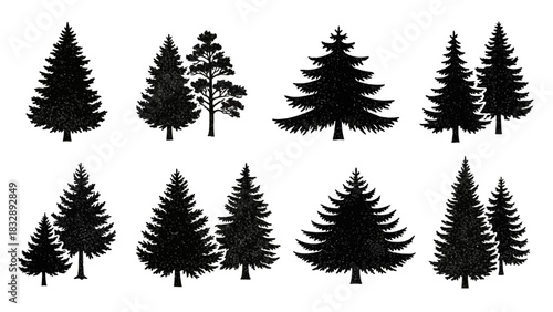 Collection of black silhouette evergreen trees, including firs and spruces, isolated on a white background, showcasing various shapes and sizes.
