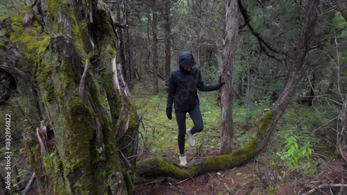 Woman hiker in black jacket walking on mossy forest floor. Overcast woods trail. Medium shot.