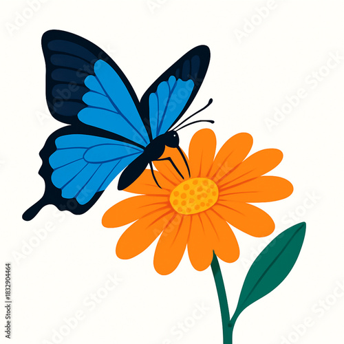 Minimalist and vibrant vector collection of different butterfly species sitting on spring and summer flowers. Flat design for digital projects, greeting cards, and nature-themed graphics.