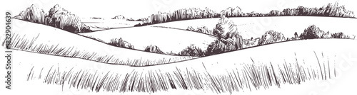 Black and white pencil sketch of rolling hills and grass