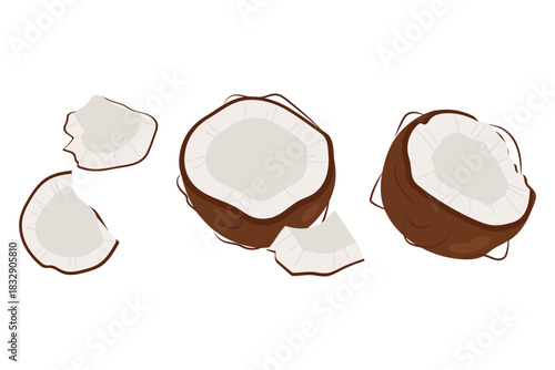 Set ripe coconut. Half and coconut pieces isolated on white background. Summer fruits. Coconut tropical flat illustration.