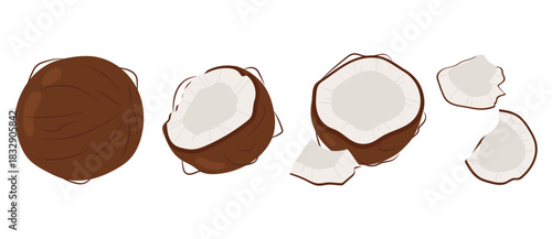 Summer  tropical fruit. Set coconut. Half and coconut pieces isolated on white background. Coconut flat illustration.