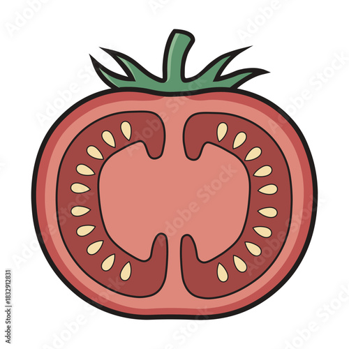 Fresh Red Tomato Cross Section Isolated Vector Illustration