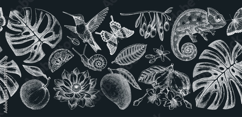 Tropical background. Exotic flowers, birds, fruits, and animals hand-drawn vector illustration. Vintage jungle seamless pattern. Not AI generated 