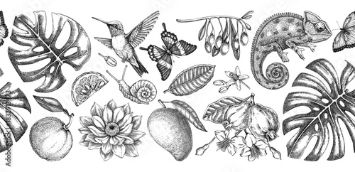 Tropical background. Exotic flowers, birds, fruits, animals hand drawn vector illustration. Vintage jungle seamless pattern. Not AI generated 