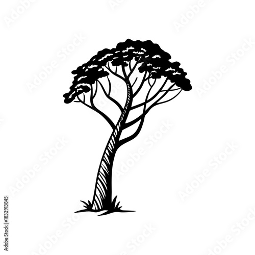 African tree Isolated, tree silhouette, Vector, illustration