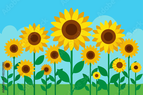 Vibrant field of sunflowers under a clear blue sky with fluffy clouds