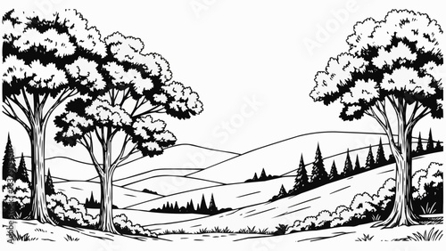 Lush Forest Landscape with Rolling Hills and Towering Trees.