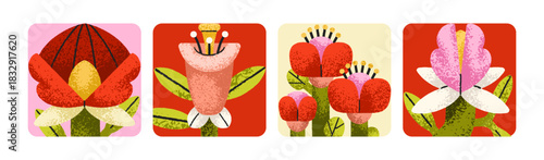 Floral cards set with whimsical spring flower blossoms, leaves in square frame. Modern creative botanical design, summer garden blooms, nature postcards, backgrounds. Flat vector illustration