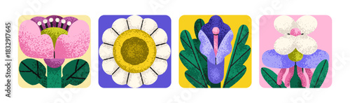 Floral cards set in modern creative whimsical style. Summer and spring flower blossoms, gentle delicate garden blooms, square nature backgrounds, abstract botanical design. Flat vector illustration