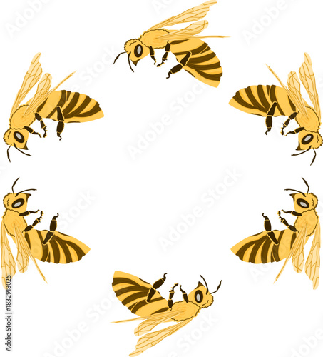 Minimalist circular frame made from buzzing bees in motion. The symmetrical arrangement creates modern design perfect for eco branding, labels or invitations related to nature, farming.