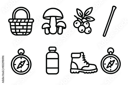 Forest Foraging Icons. Forest Foraging linear icon set. basket, mushrooms, berries, leaves, walking stick, compass, water bottle, boots