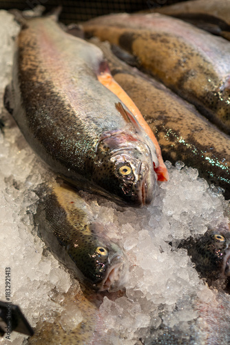 Several Fresh Rainbow Trout Displayed On Ice