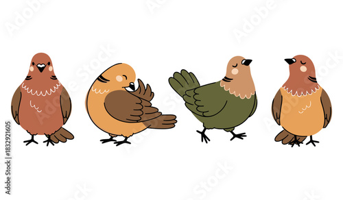 Colorful cartoon birds standing in various poses on white background