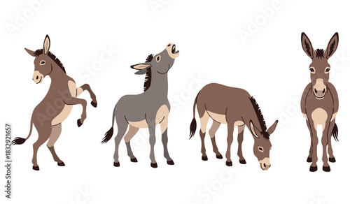 Illustration of four animated donkeys in various poses