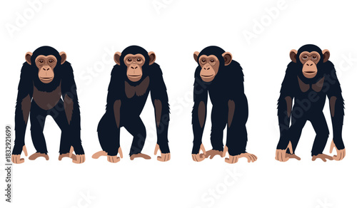Four cartoon chimpanzees standing in a row on white background