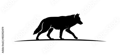 Striking wolf silhouette walking with graceful stride