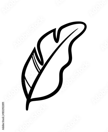 Elegant quill sketch for creative design element