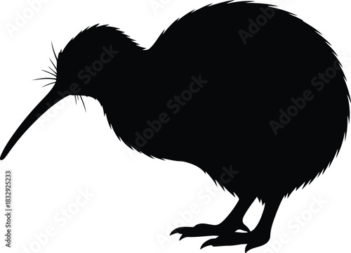 Kiwi bird black silhouette vector graphic icon of New Zealand flightless wildlife animal profile view