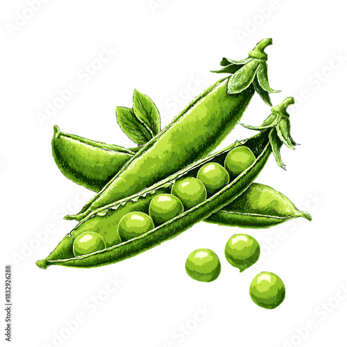 Fresh peas in pods isolated on transparent background
