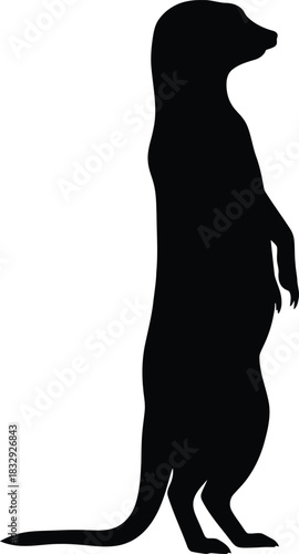 Black Meerkat Silhouette Standing Guard Vector Illustration Isolated