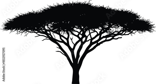 Black Savanna Tree Silhouette Vector Icon Detailed African Acacia Landscape Graphic Resource Isolated on White
