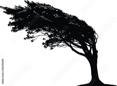 Black Silhouette of a Wind-Swept Tree Bent by Strong Storm Vector Illustration
