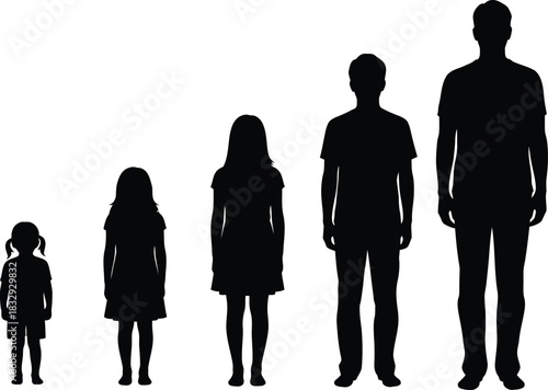 Human Height Progression Silhouettes Vector Illustration Children and Adults Growth Stages Black Figures