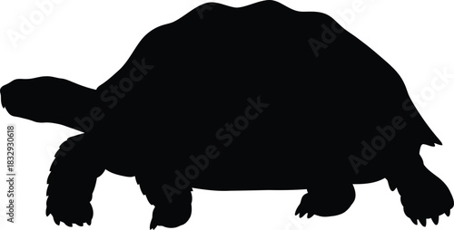 Black Silhouette Vector Illustration of a Giant Tortoise or Terrapin Side Profile Isolated on White Background