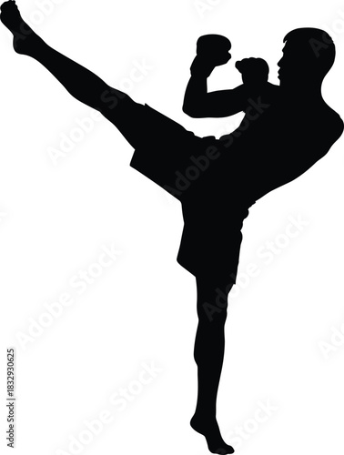 Black Silhouette of Male Martial Arts Fighter Performing High Kick Isolated Vector