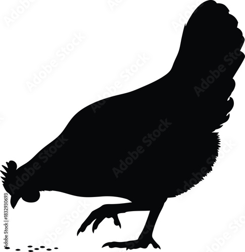 Black Silhouette of a Chicken or Hen Pecking Feed on the Ground Isolated Vector Illustration