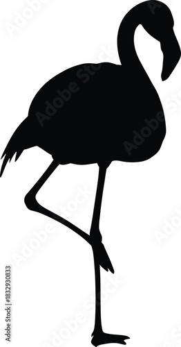 Flamingo Bird Standing on One Leg Black Silhouette Vector Graphic Isolated on White Background