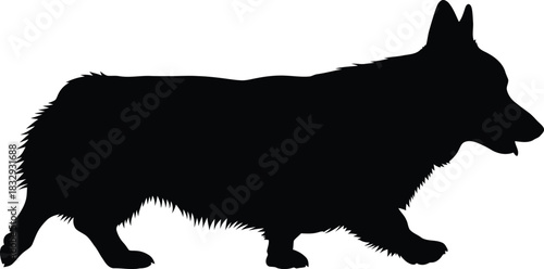 Black silhouette vector illustration of a fluffy herding dog walking in profile