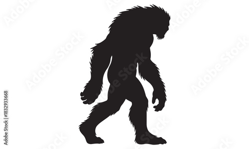 A black silhouette of a large hairy creature resembling bigfoot walking on a white background silhouette