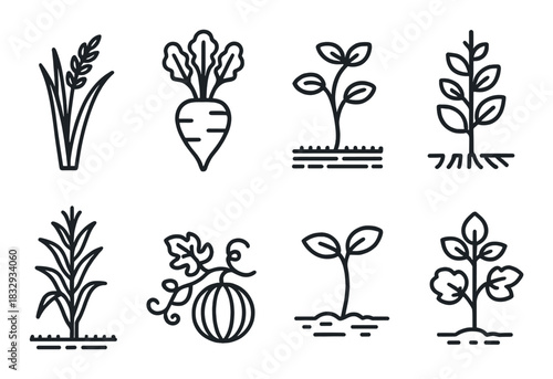 Stylized plant icons featuring vegetables and crops on dark background
