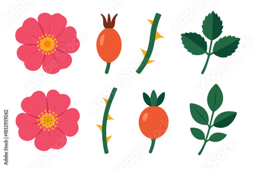Wild Rose Icons. Wild Roses flat icon set: wild rose bloom, hip fruit, rugged stem, leaf trio, open petal form, bramble twig, seed pod, natural sprig