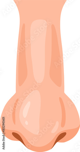 Human nose organ for smelling and breathing