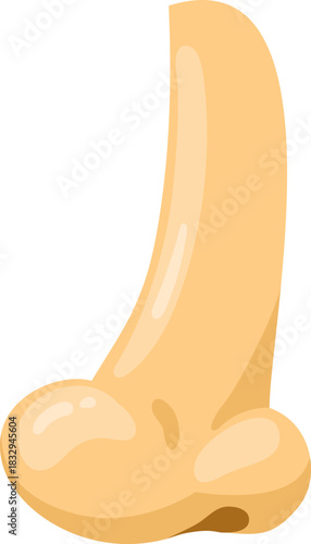 Human nose showing side profile and sense of smell