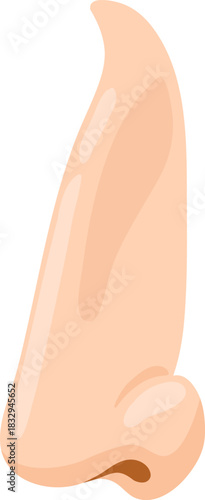Human nose side view profile showing anatomy