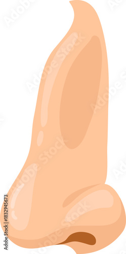 Human nose illustrating facial feature and sense of smell