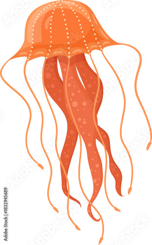 Orange jellyfish swimming marine animal illustration isolated
