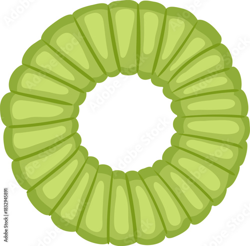 Green segmented circular object forming a ring