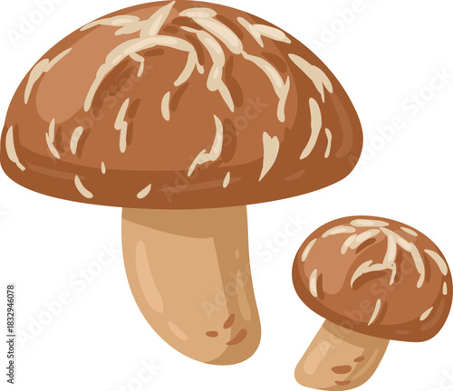 Shiitake mushrooms growing food ingredient cooking