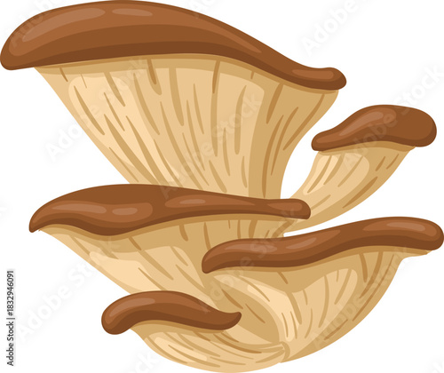 Oyster mushrooms showing gills and brownish caps